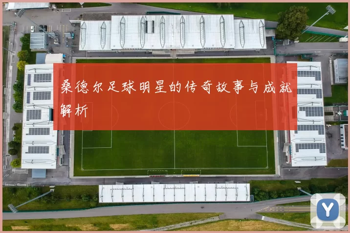 桑德尔足球明星的传奇故事与成就解析