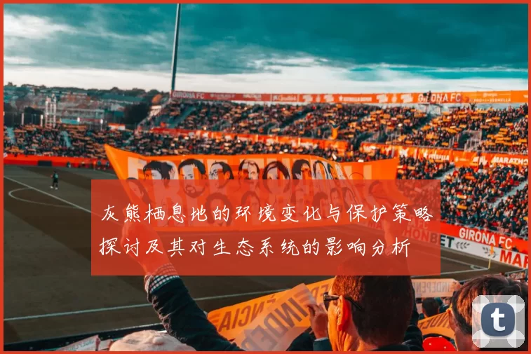 灰熊栖息地的环境变化与保护策略探讨及其对生态系统的影响分析