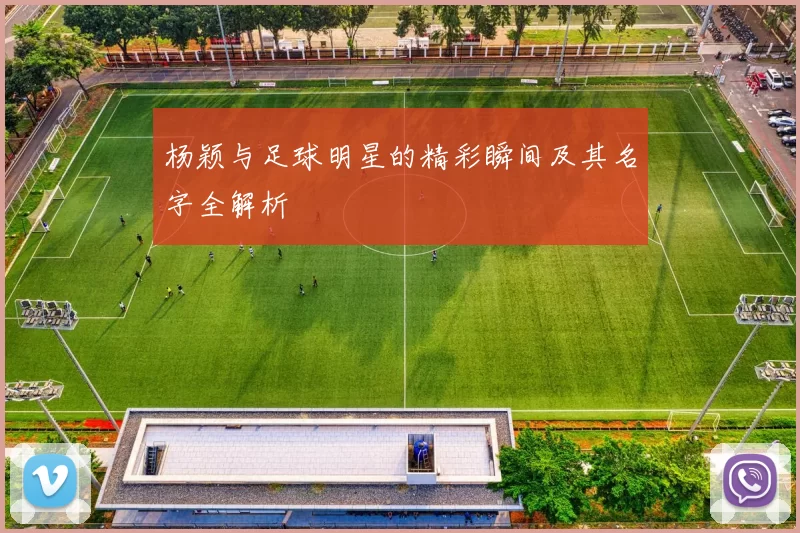 杨颖与足球明星的精彩瞬间及其名字全解析