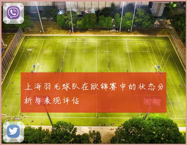 上海羽毛球队在欧锦赛中的状态分析与表现评估
