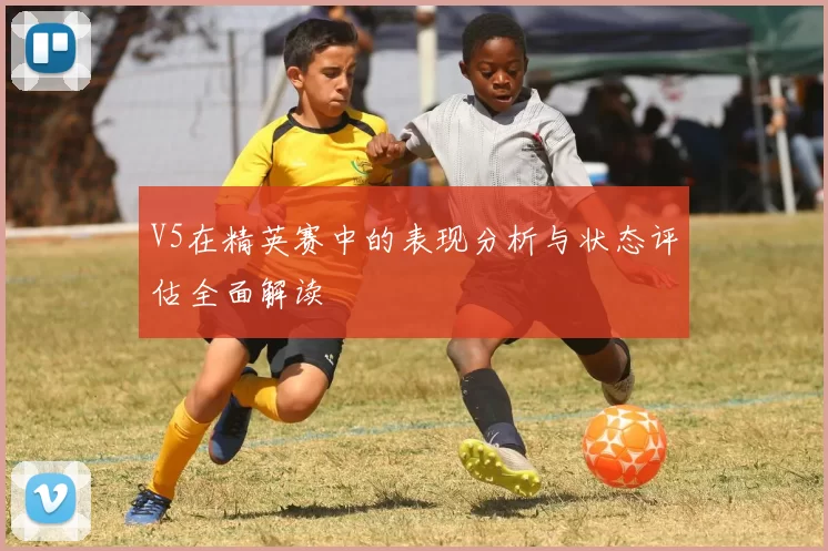 V5在精英赛中的表现分析与状态评估全面解读