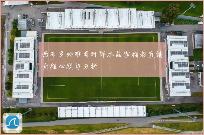 西布罗姆维奇对阵水晶宫精彩直播全程回顾与分析