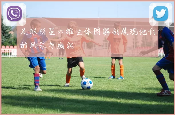 足球明星六维立体图解剖展现他们的风采与成就