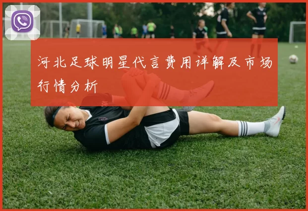 河北足球明星代言费用详解及市场行情分析
