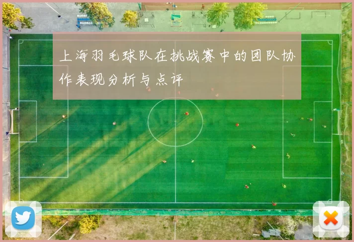 上海羽毛球队在挑战赛中的团队协作表现分析与点评