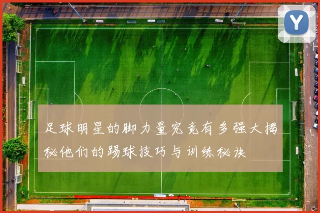 足球明星的脚力量究竟有多强大揭秘他们的踢球技巧与训练秘诀