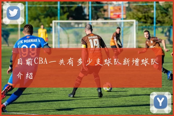 目前CBA一共有多少支球队新增球队介绍