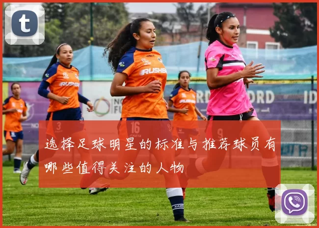 选择足球明星的标准与推荐球员有哪些值得关注的人物