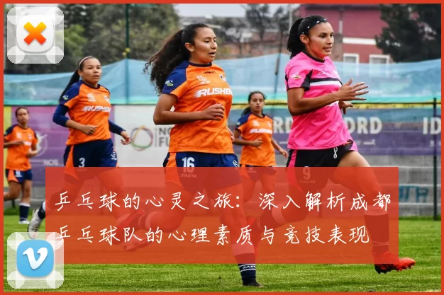 乒乓球的心灵之旅：深入解析成都乒乓球队的心理素质与竞技表现