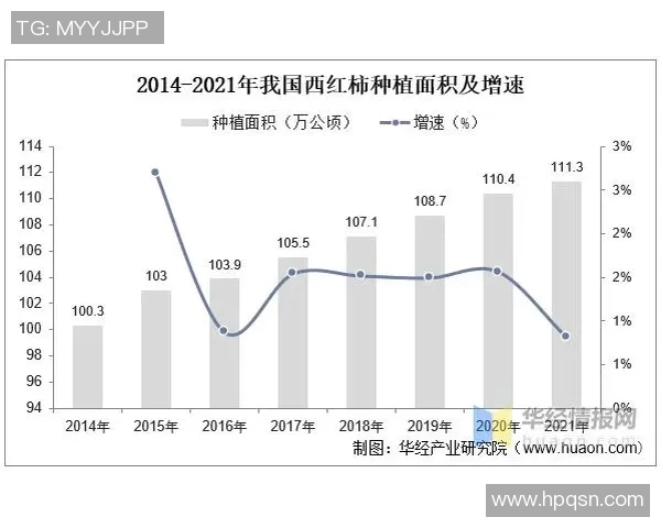 武汉足球队的现状揭秘与未来展望全景分析