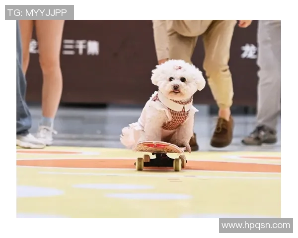 深圳滑板队在全国滑板状态排行榜中荣获第四名的佳绩引发关注